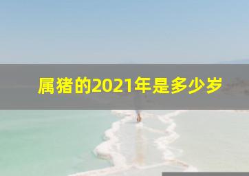 属猪的2021年是多少岁