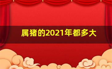 属猪的2021年都多大