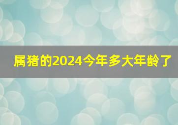 属猪的2024今年多大年龄了