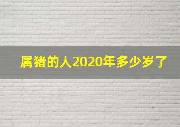 属猪的人2020年多少岁了