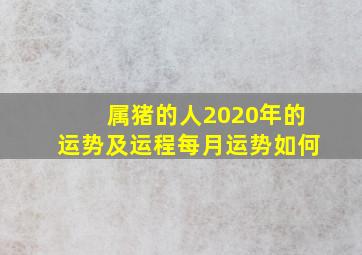 属猪的人2020年的运势及运程每月运势如何