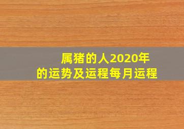 属猪的人2020年的运势及运程每月运程