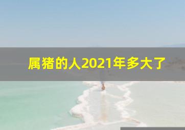 属猪的人2021年多大了