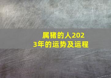 属猪的人2023年的运势及运程