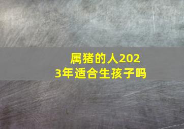 属猪的人2023年适合生孩子吗