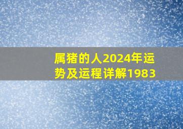 属猪的人2024年运势及运程详解1983