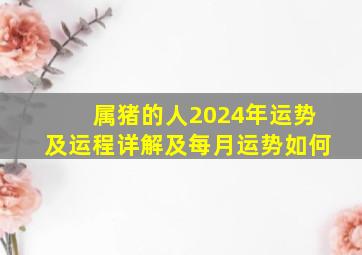 属猪的人2024年运势及运程详解及每月运势如何