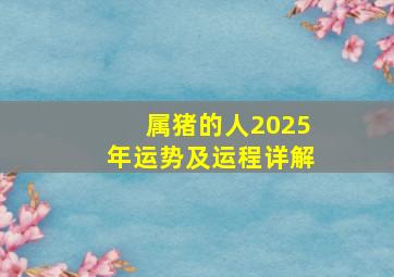 属猪的人2025年运势及运程详解