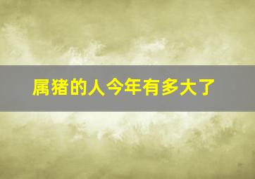 属猪的人今年有多大了