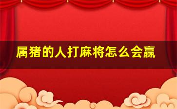 属猪的人打麻将怎么会赢