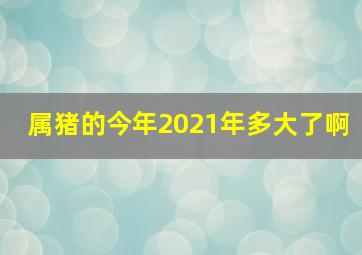 属猪的今年2021年多大了啊