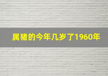 属猪的今年几岁了1960年