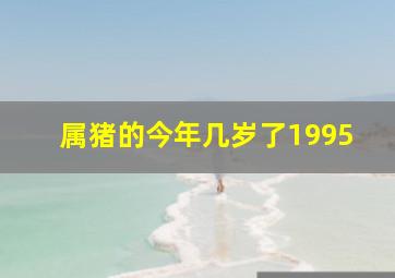 属猪的今年几岁了1995