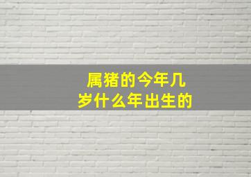 属猪的今年几岁什么年出生的