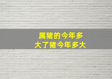 属猪的今年多大了猪今年多大