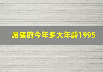 属猪的今年多大年龄1995