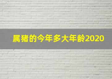 属猪的今年多大年龄2020