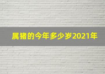 属猪的今年多少岁2021年