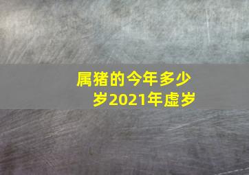 属猪的今年多少岁2021年虚岁