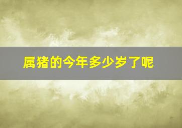 属猪的今年多少岁了呢