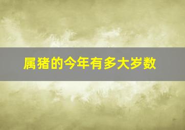 属猪的今年有多大岁数