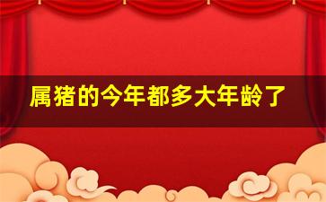 属猪的今年都多大年龄了