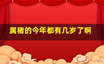 属猪的今年都有几岁了啊