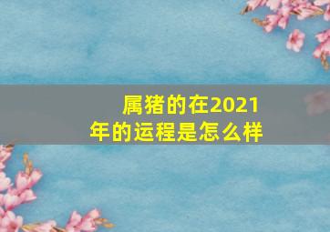 属猪的在2021年的运程是怎么样