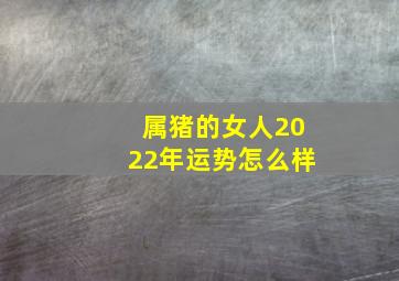 属猪的女人2022年运势怎么样