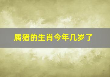 属猪的生肖今年几岁了