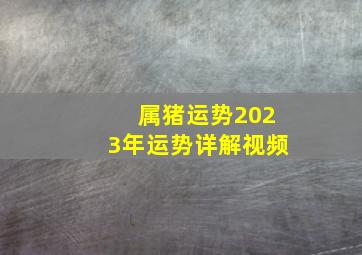 属猪运势2023年运势详解视频