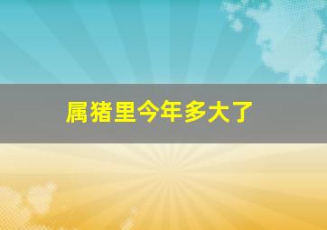 属猪里今年多大了