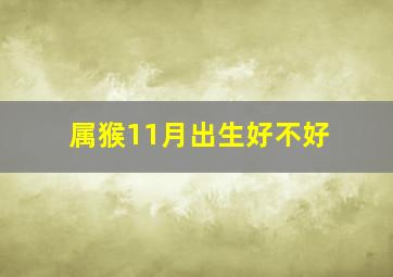 属猴11月出生好不好