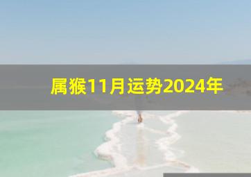 属猴11月运势2024年