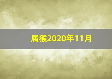 属猴2020年11月