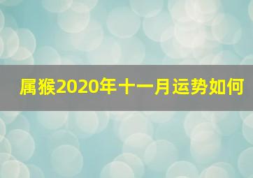 属猴2020年十一月运势如何