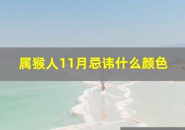 属猴人11月忌讳什么颜色