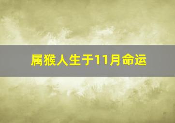 属猴人生于11月命运