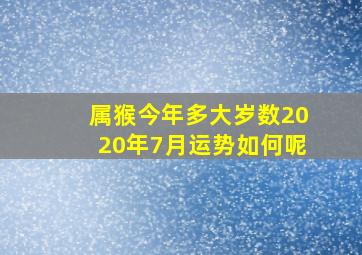 属猴今年多大岁数2020年7月运势如何呢