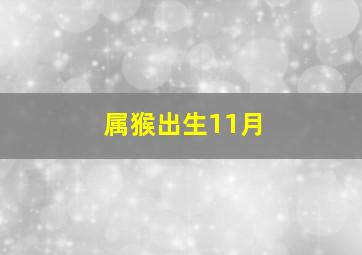 属猴出生11月