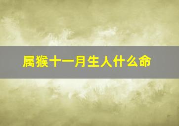 属猴十一月生人什么命