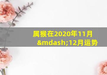 属猴在2020年11月—12月运势