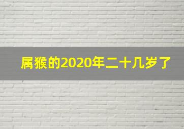 属猴的2020年二十几岁了