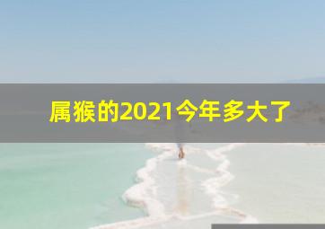 属猴的2021今年多大了