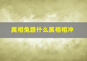 属相兔跟什么属相相冲