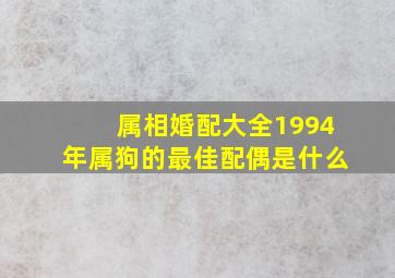 属相婚配大全1994年属狗的最佳配偶是什么