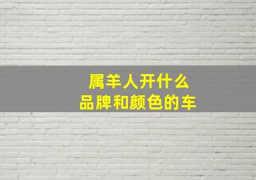 属羊人开什么品牌和颜色的车