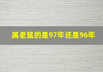 属老鼠的是97年还是96年