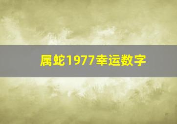 属蛇1977幸运数字