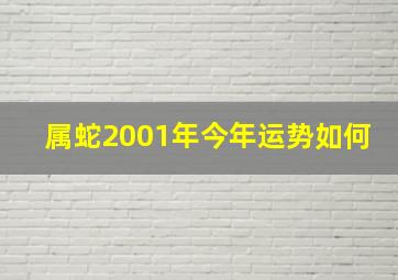 属蛇2001年今年运势如何